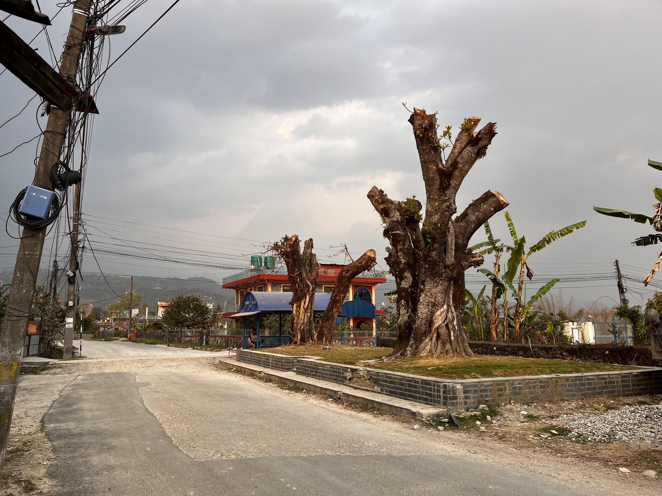 bar pipal pokhara (3).JPG